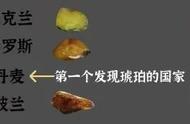 「琥珀系列小知识1」：琥珀品种的深度剖析