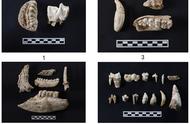 9000年前的玉文化起源：十大考古新发现的全新视角