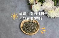 白毫银针白茶的价格为何如此之高？我应该如何购买才能避免被坑？