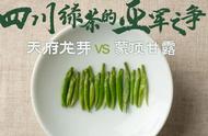 蒙顶甘露与天府龙芽的川茶亚军之争：四川茶业内部交流赛的深度评测