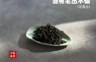 新购的武夷岩茶水仙为何香气如此诱人？李麻花说出实情