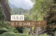 武夷山的茶叶种植：三十六峰、七十二洞、九十九岩的真相解析