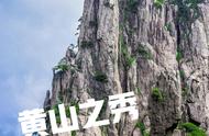 雾与云的交响：黄山毛峰茶的生态之旅