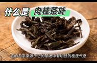 品味肉桂的香气，体验武夷岩茶的魅力