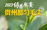 2023绿茶联赛：都匀毛尖的新评价