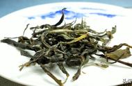 普洱茶饼茶与散茶在使用场合上有何区别？