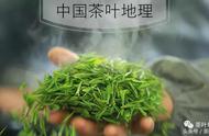 正宗龙井茶的鉴别要点：一篇深度文章