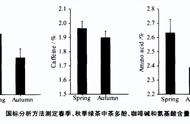 品味人生，感悟茶韵：十年喝茶经历中的春茶与秋茶对比