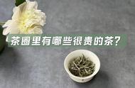 茶叶收藏秘籍：如何挑选和收藏这些高价茶叶？