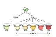 你知道中国六大茶种的主要产区是哪些地方吗？