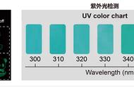 从0到1，中国有机夜明珠引领健康产业革新