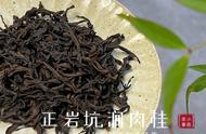 武夷岩茶的高香品种黄观音、金牡丹、黄玫瑰是否易被泡透？