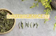 个人存白茶，先认清5个基础问题，其他都是幌子