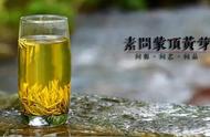 何春雷分享：蒙顶黄芽的消脂降血糖效果，今天你尝试了吗？