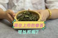 春茶上市时间的不同步性：为何有的在3月，有的在5月？