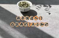 白茶白牡丹新手指南：7个知识点让你快速上手