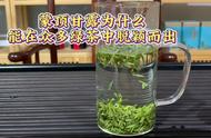 揭开蒙顶甘露的奥秘：为何它在绿茶界备受瞩目？