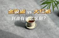 金骏眉与乌龙茶的比较：你真的理解这两种茶的不同吗？