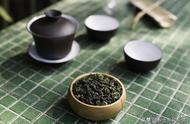 乌龙茶的种类全解析：爱茶者的知识宝典