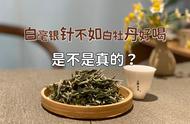 新手的疑惑：白毫银针真的比白牡丹好喝吗？