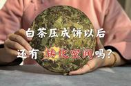 白茶散茶和饼茶：哪个更适合长期保存并期待其转化效果？