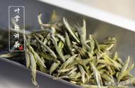 白毫银针：茶的种类、保存方法和冲泡艺术