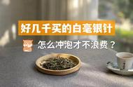 老茶客分享几千元白毫银针的5个冲泡细节，避免浪费