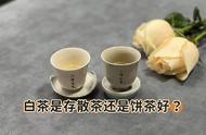 白茶选择困扰：散茶还是饼茶，一篇文章帮你做出决定