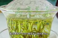 蒙顶黄芽：中国历史上贡茶的独特地位