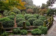 杭州的记忆：御茶十八棵、龙井八景、乾隆古道与龙井八咏诗碑亭的旅游指南