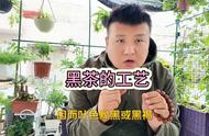 三分钟教你认识黑茶——茶叶小百科