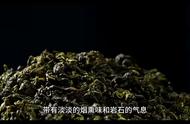 走进中国茶艺的世界：铁观音名茶