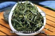 毛峰茶：中国十大名茶的独特魅力