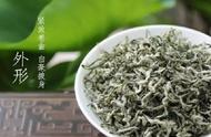 蒙顶山茶：一次对自然之美的探索