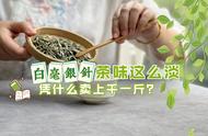 白茶价格的秘密：白毫银针的味道淡，一斤千元的背后故事