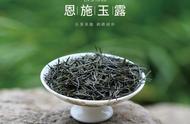 什么花茶的品种最受欢迎？