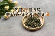 白茶寿眉、乌龙茶铁观音和茉莉花茶，真的只是普及茶吗？