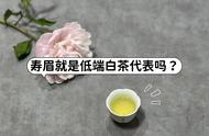 白毫银针与寿眉：白茶口感的优劣之辨