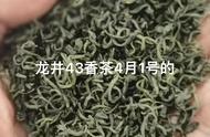 “香茶”系列：绿茶的独特魅力