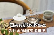 白茶和巧克力味，这是一种错觉还是真实存在？探索白茶四大基本香型的真实面貌