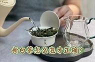 新白茶苦涩难以接受？5个泡茶技巧让你品尝到它的美！