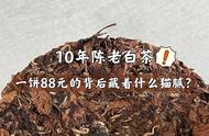 88元一饼的10年陈老白茶，购买后的闹心故事大揭秘！