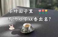 茶叶品鉴：肉桂、白牡丹、茉莉花茶，哪款茶最能打动人心？