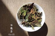 白茶知识速成：三十条干货让你轻松掌握茶艺