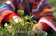 【茶香人生】探索常见的茶叶分类