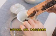 品茗之旅：普洱茶的魅力与传说