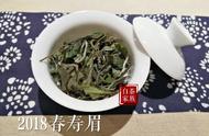 小白解析：硬邦邦的茶饼为何不受欢迎？