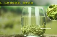 碧螺春，你真的珍视她吗？