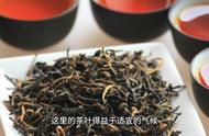 祁门红茶：中国传统的底蕴，现代品质的升华