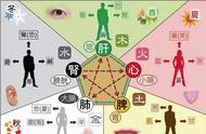 君山银针的“竖立茶身”：茶叶创新的代表